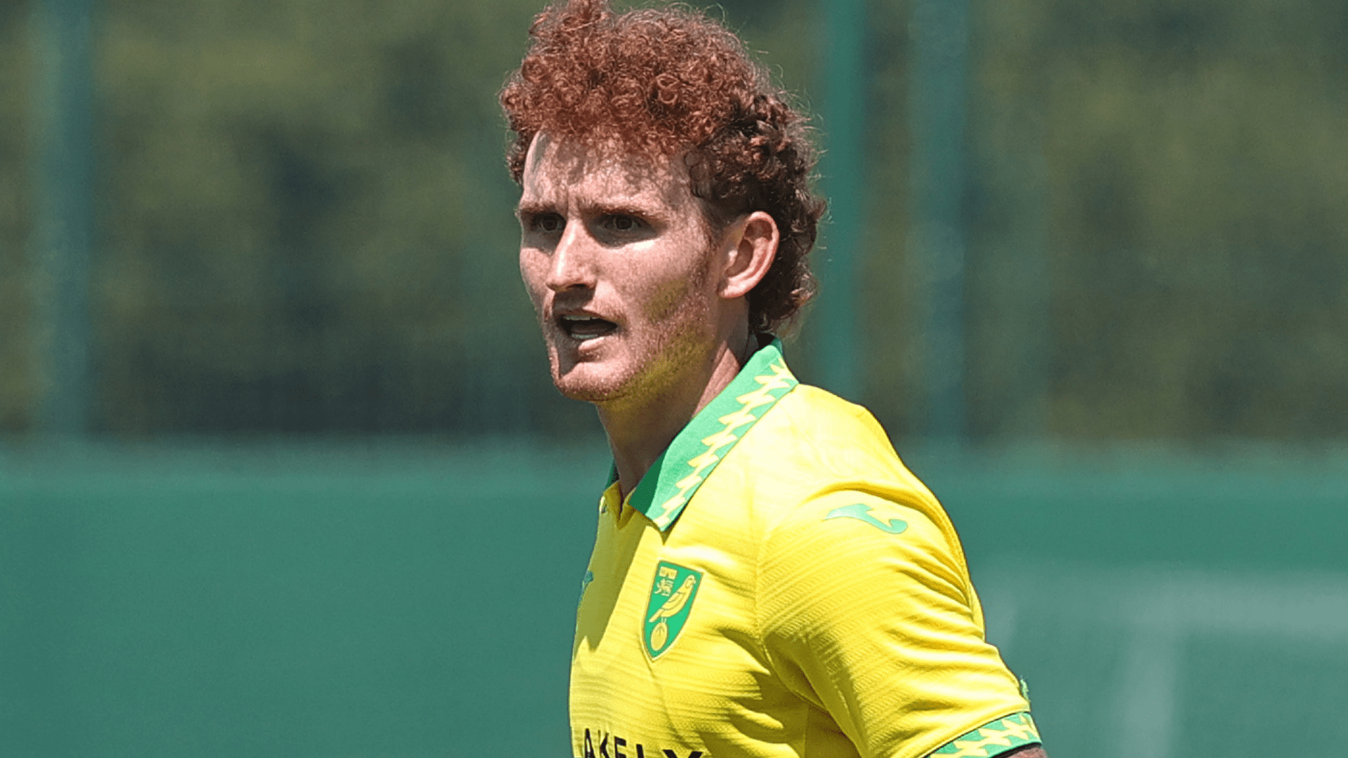 USMNT's Josh Sargent on Rejecting Club Interest to Stay at Norwich and His Confidence in National Team Performance